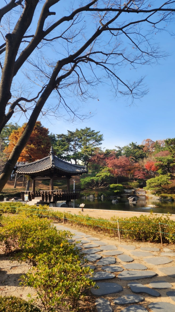 Hyundai Art Park across from Hotel Hyundai by Lahan Ulsan with autumn foliage