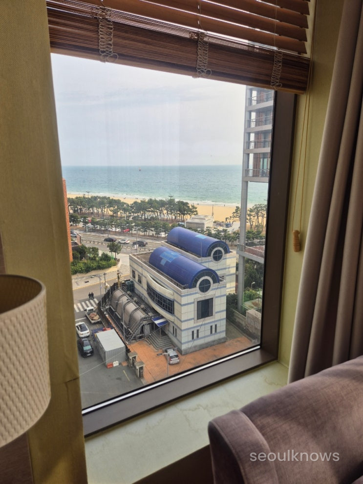 Baymond Hotel rooftop pool and Haeundae view