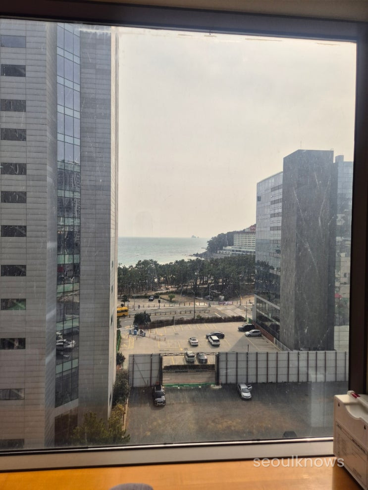 Baymond Hotel rooftop pool and Haeundae view