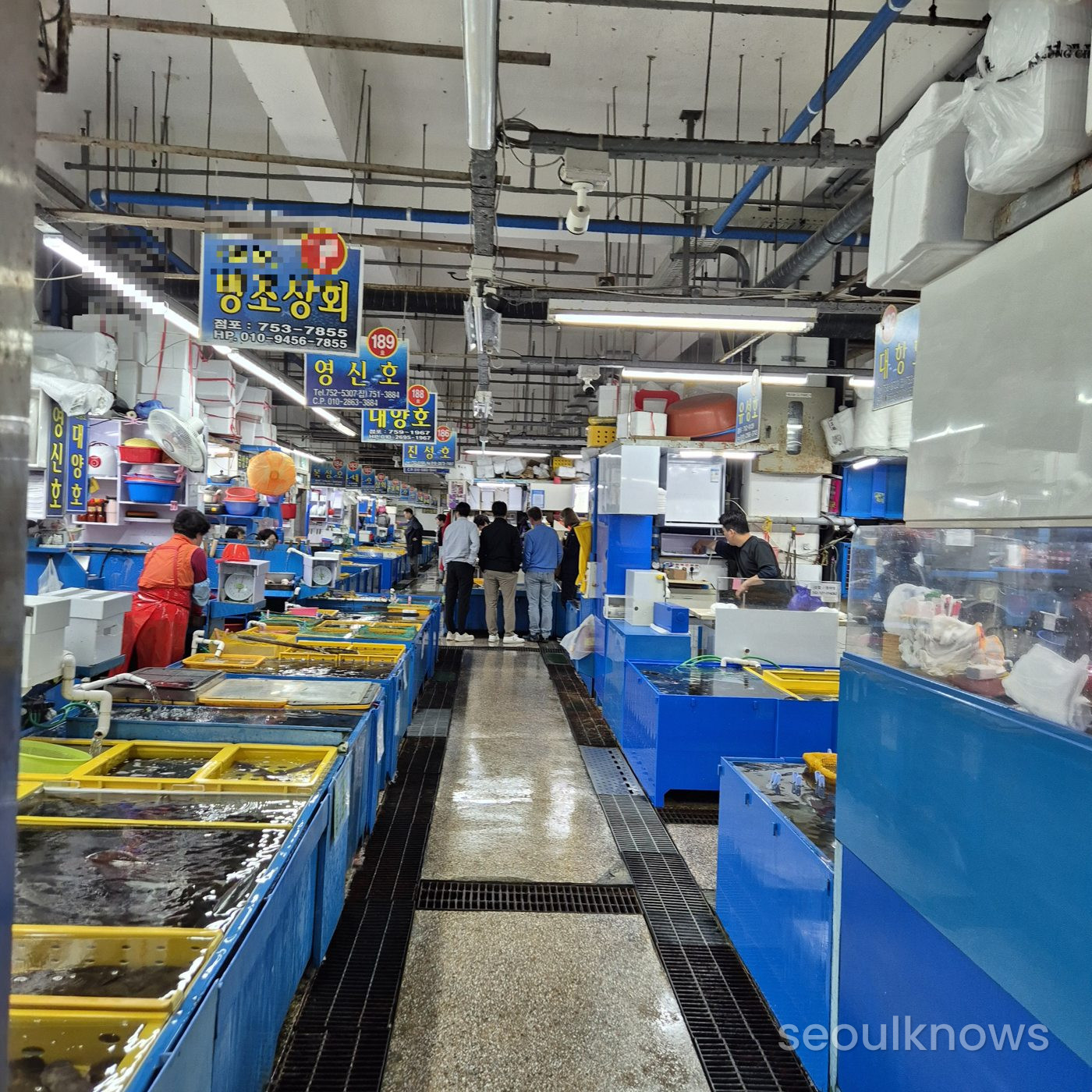Aisles of live fish and seafood tanks at Millak Live Fish Market