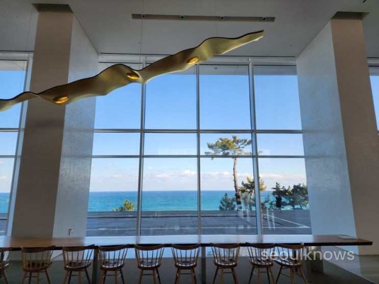 Seamarq Hotel Gangneung - beachfront luxury hotel in South Korea