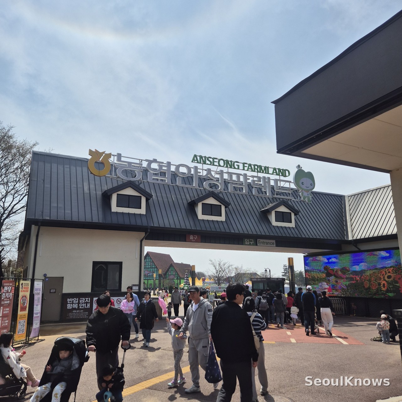 Things to Do Near Seoul With Kids: Anseong Farmland — Feed Lambs, Ride Karts & Catch the Animal Show