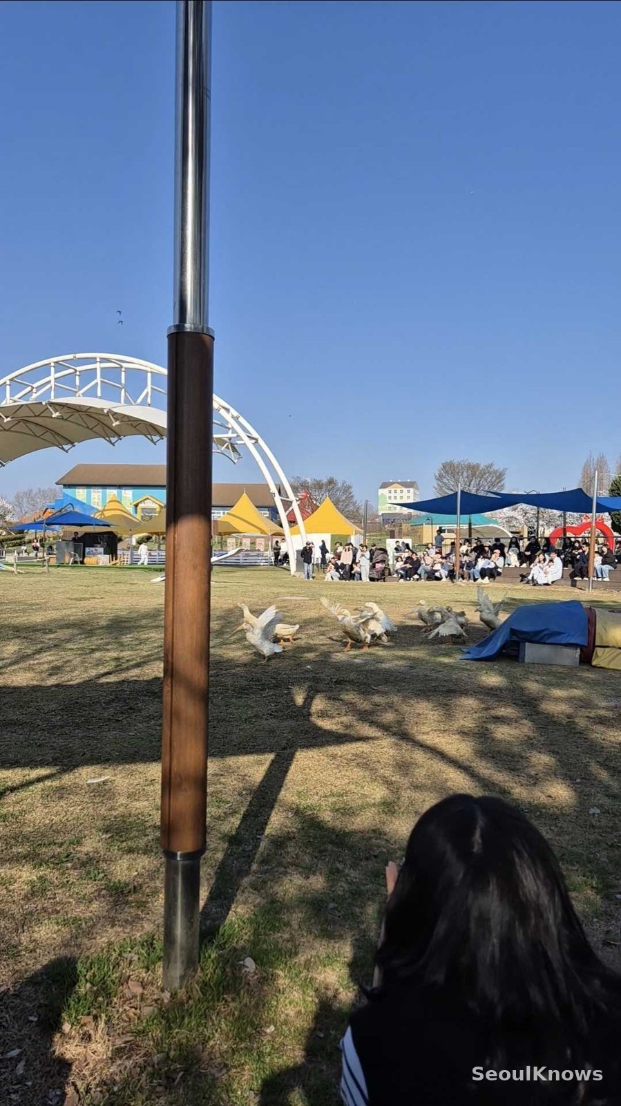 Anseong Farmland