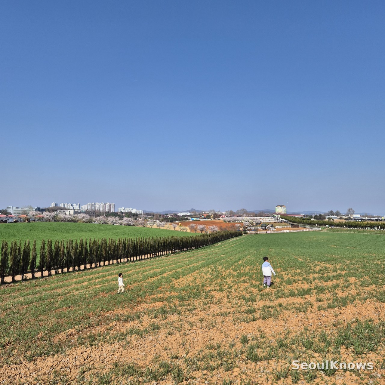 Anseong Farmland