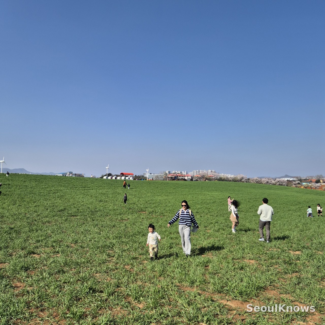 Anseong Farmland