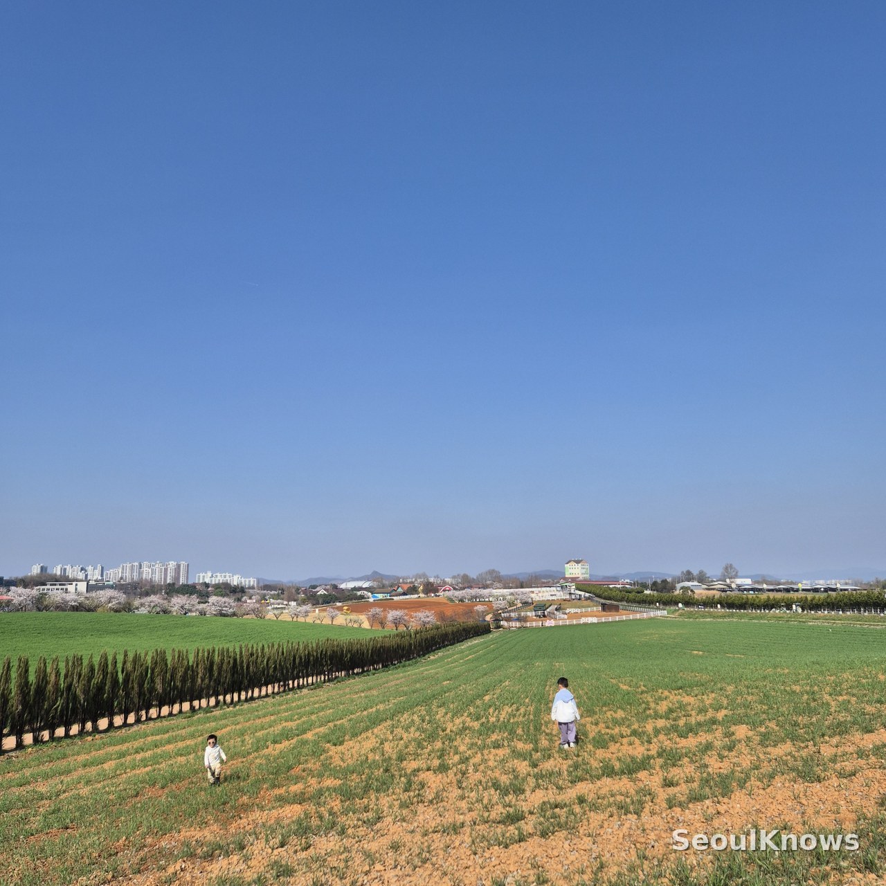 Anseong Farmland