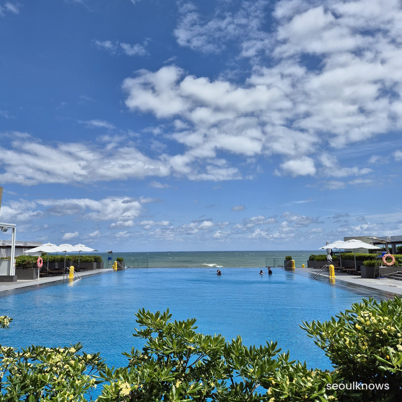 Ocean infinity pool with sea view at Ananti Cove