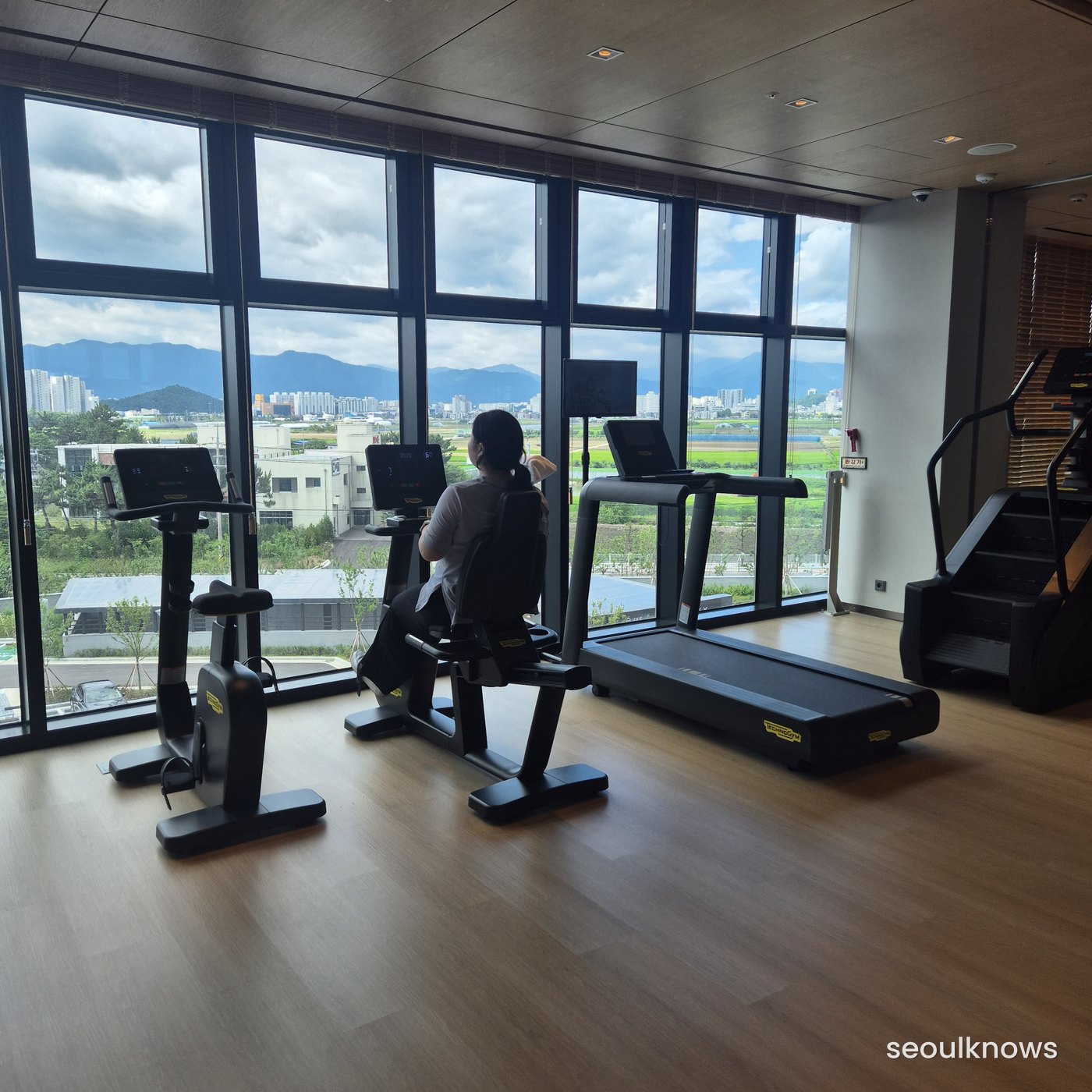 Technogym equipment by the window