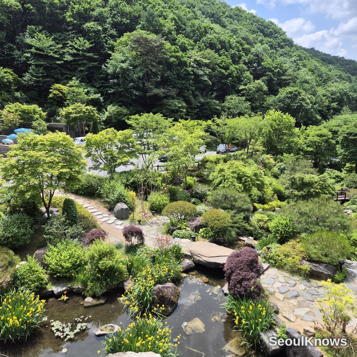 Resom Resort garden pond