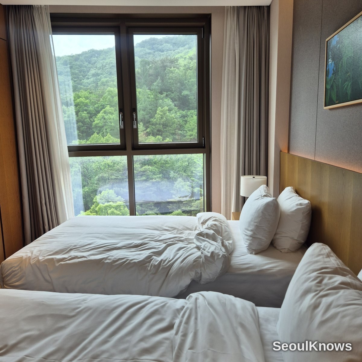 RESTREE G50 bedroom forest view