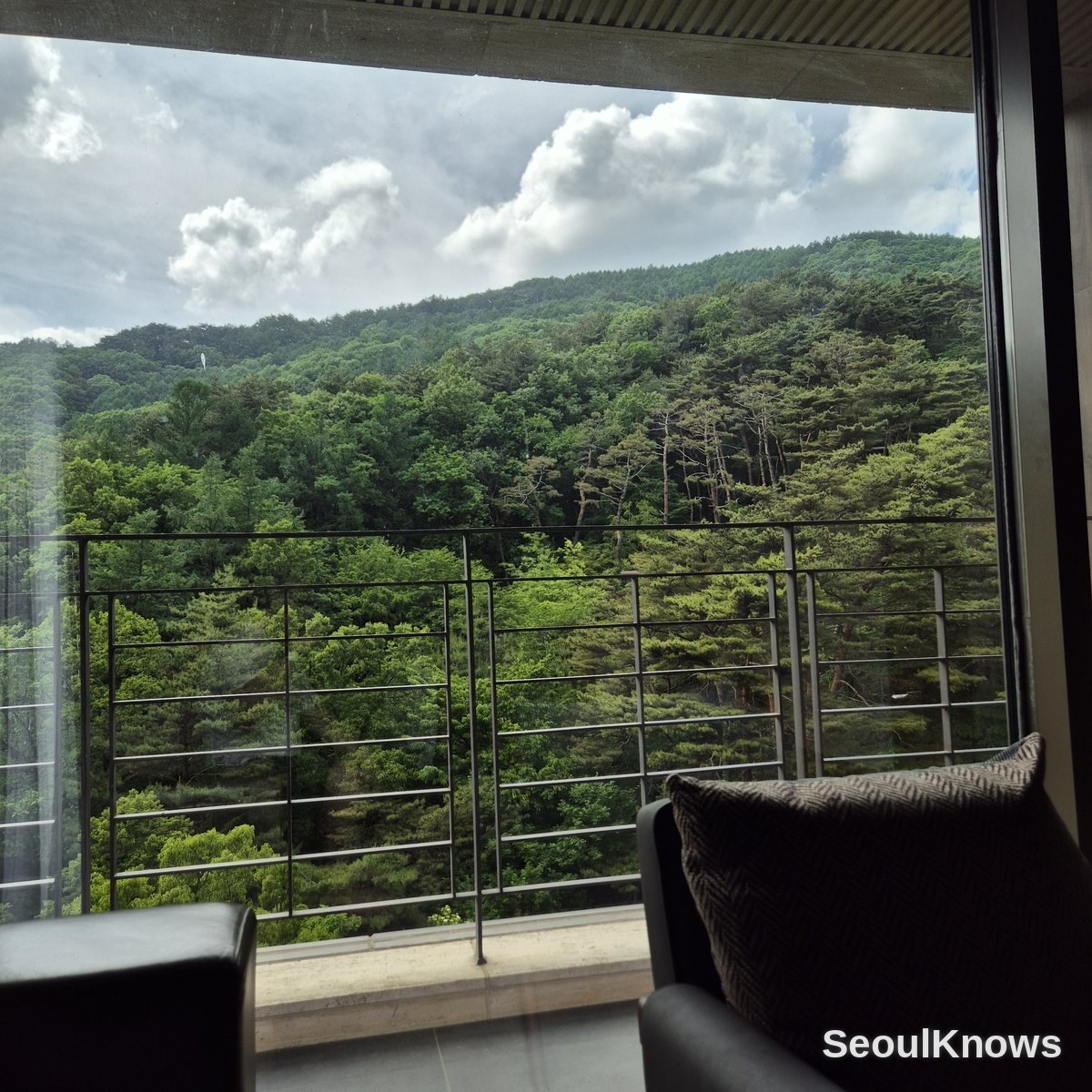 RESTREE G50 terrace forest view
