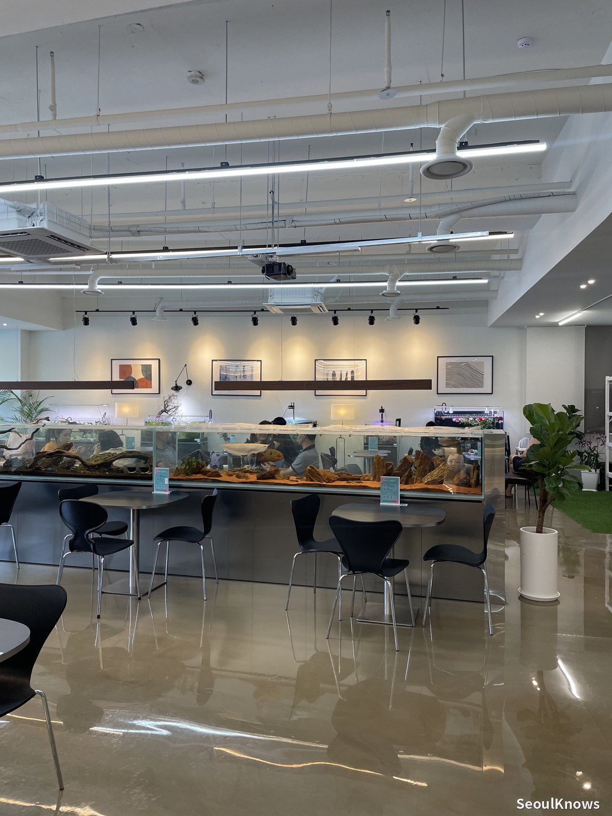 Spacious interior of Gallery de Aqua café