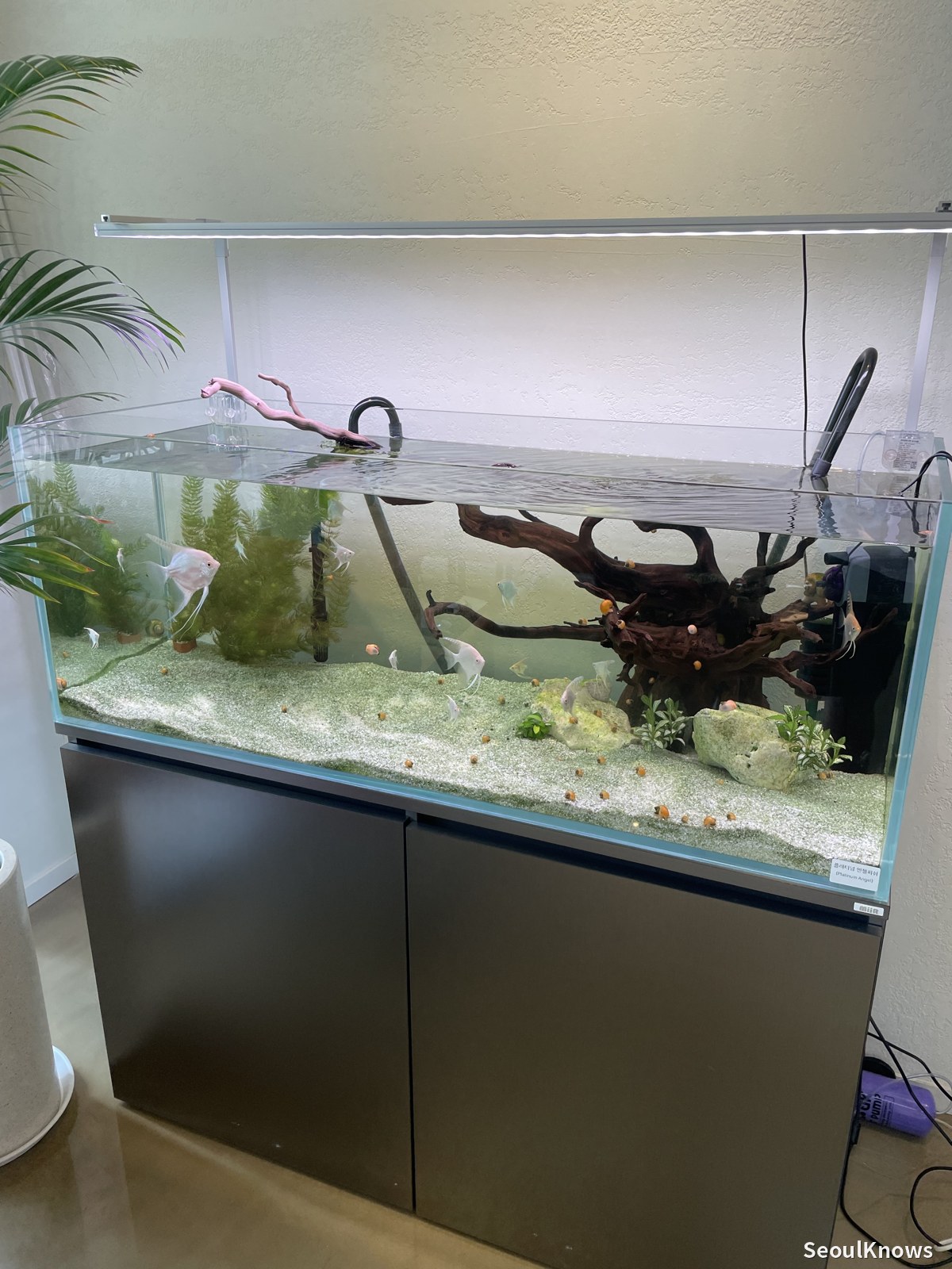 Large aquarium tank inside Gallery de Aqua