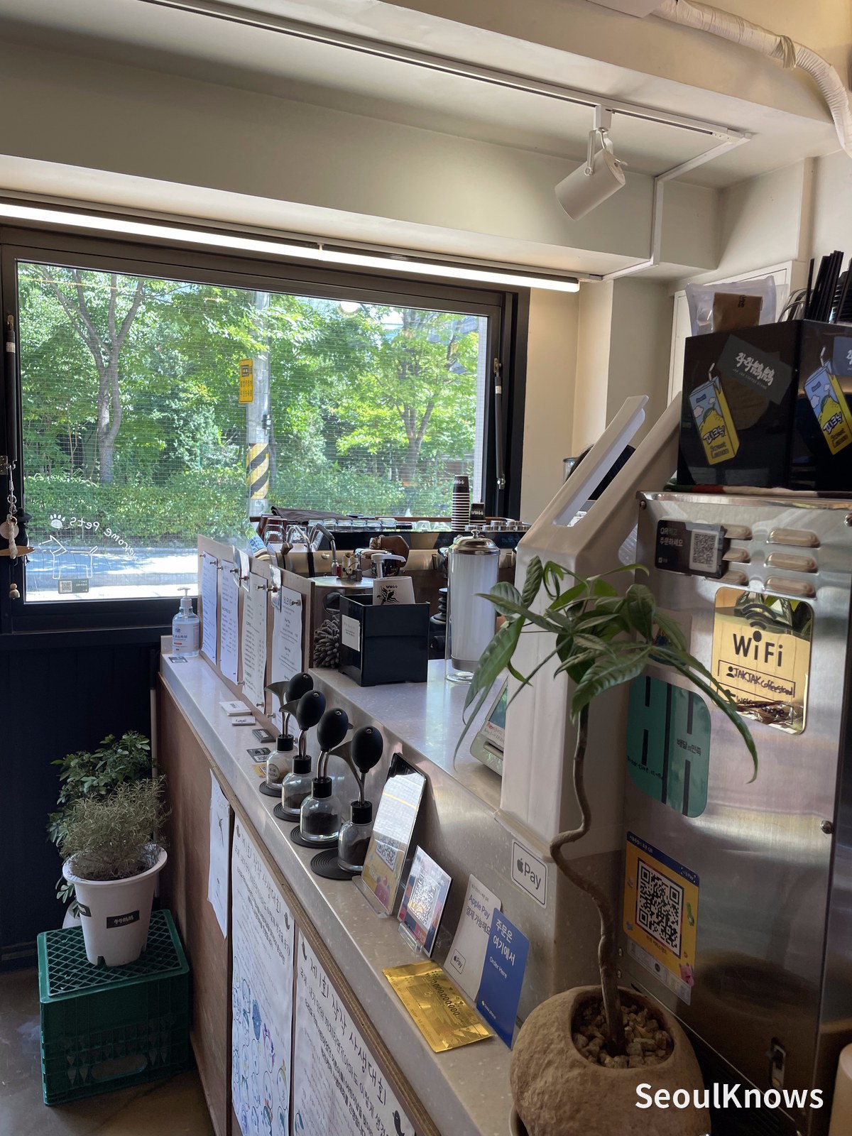 Window seats at Jakjak Coffee Stand looking onto the park