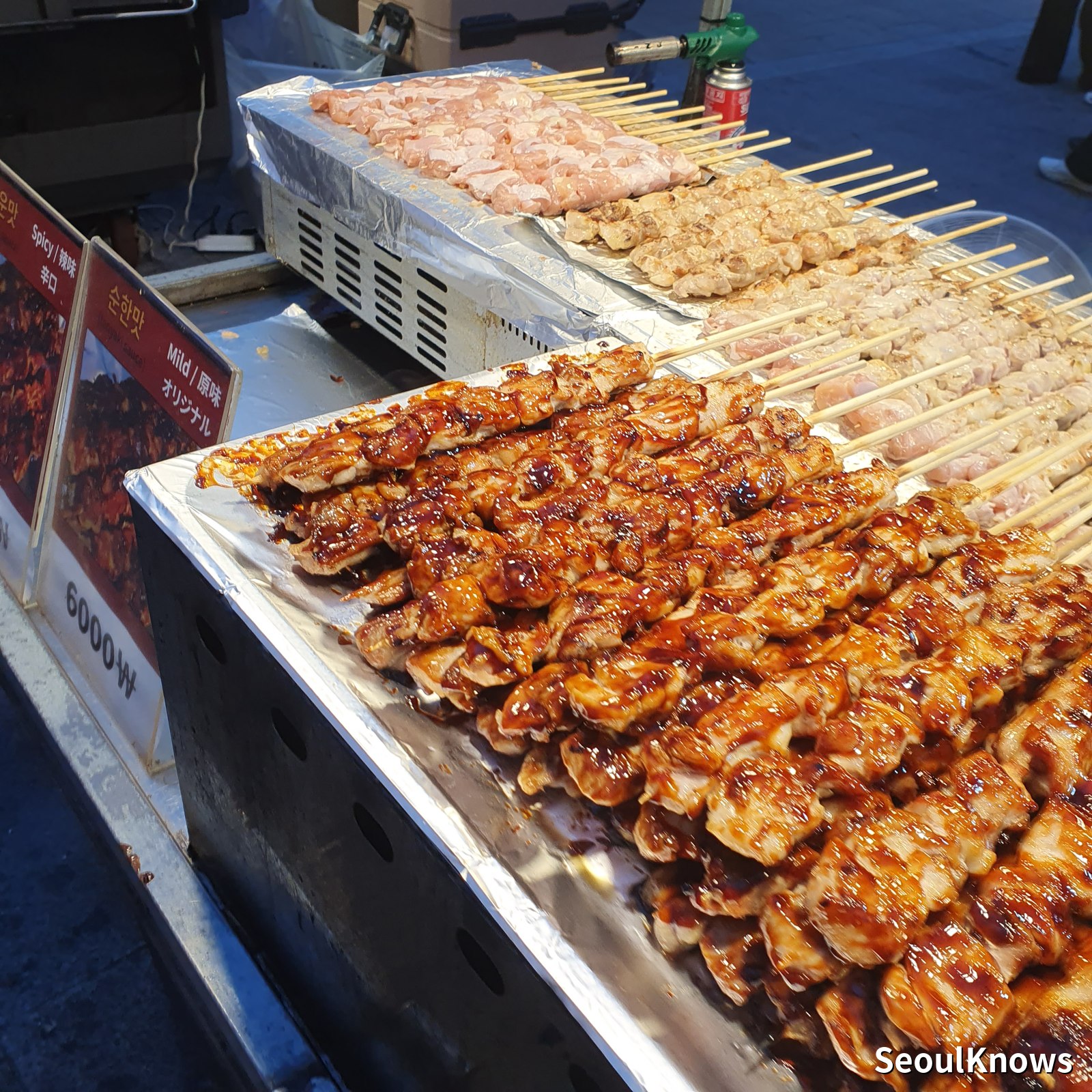Grilled spicy chicken skewers dak-kkochi