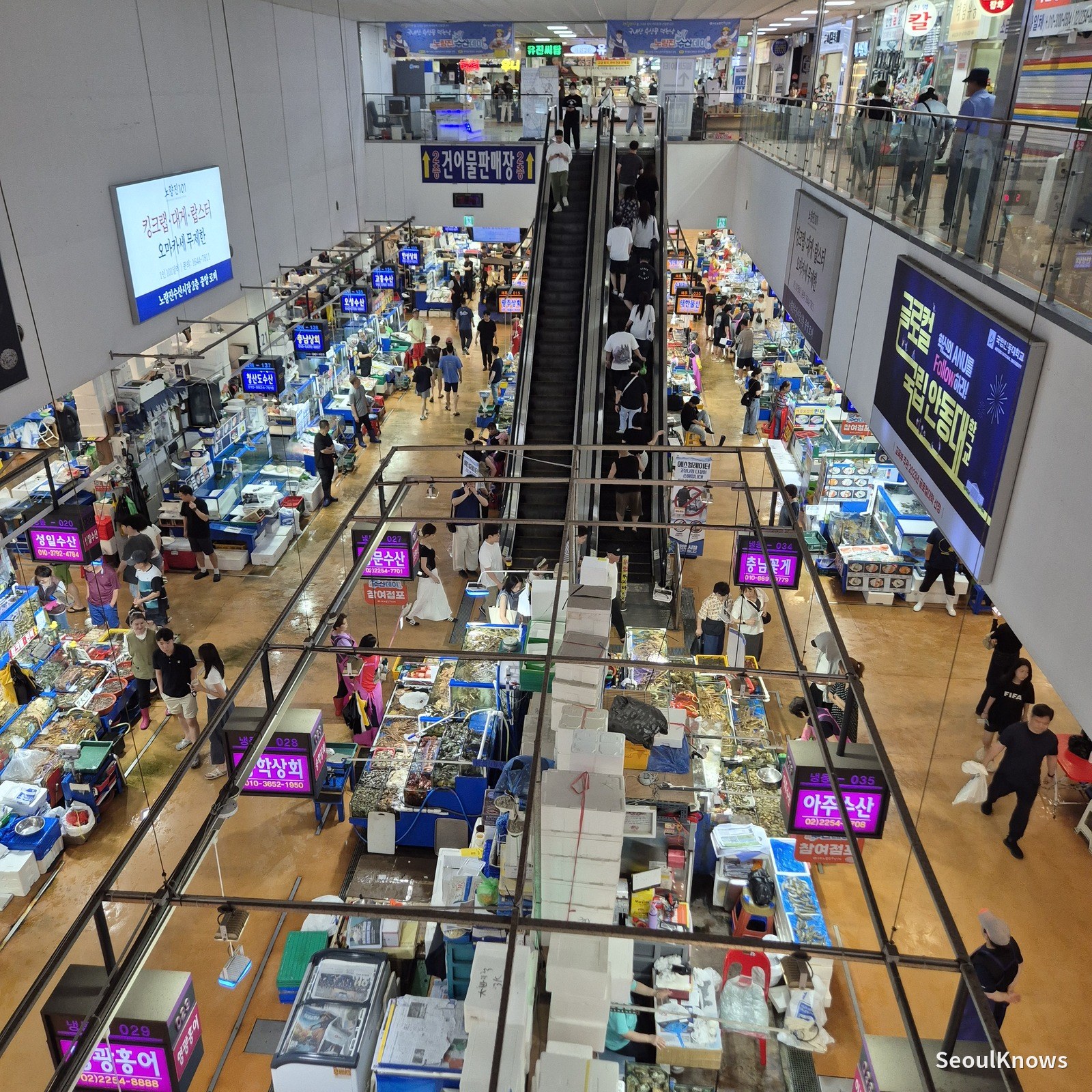 Noryangjin Fish Market sales floor seen from the escalator