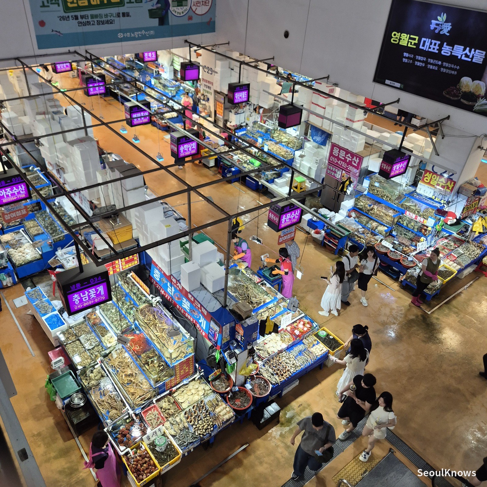 Overview of the Noryangjin Fish Market trading floor