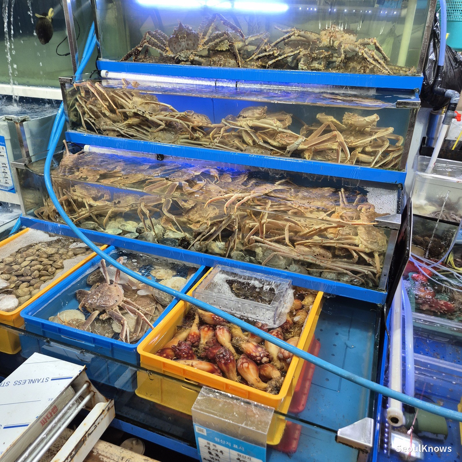 Noryangjin Fish Market: How to Buy Seafood and Eat It There (2026 Guide)