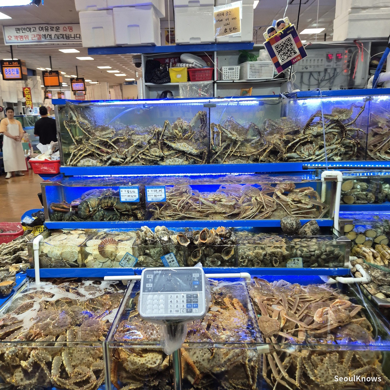 Crab tanks and a weighing scale on the sales floor