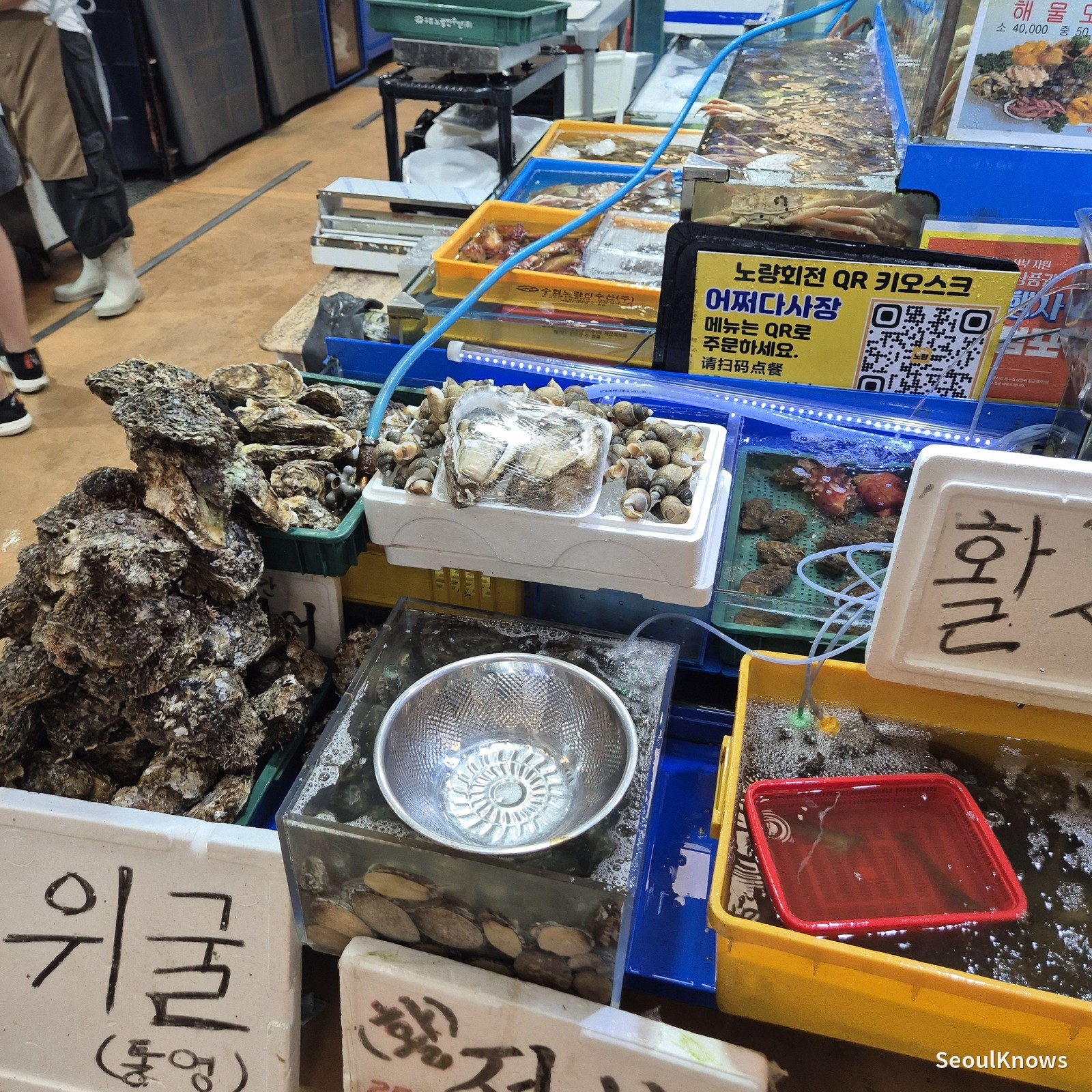 Tongyeong oysters and shellfish on a market stall