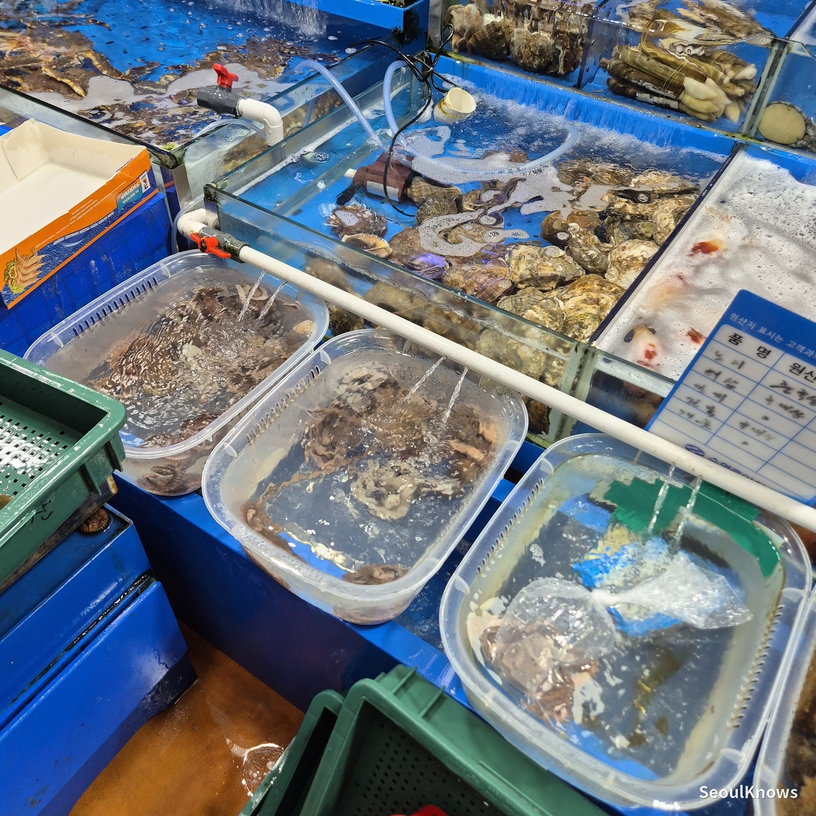 Prepared seafood in tubs at the market