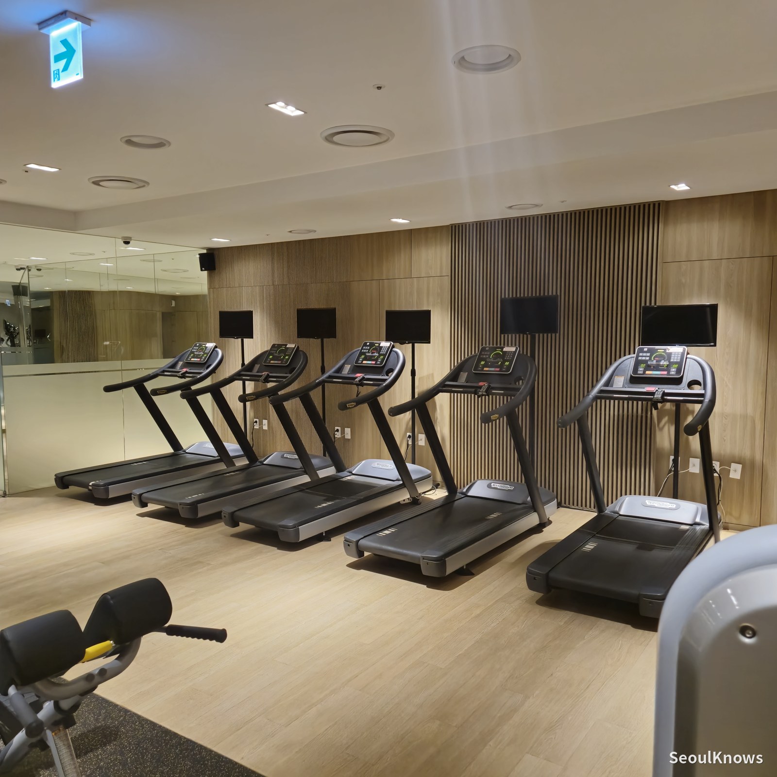 Treadmills at the gym
