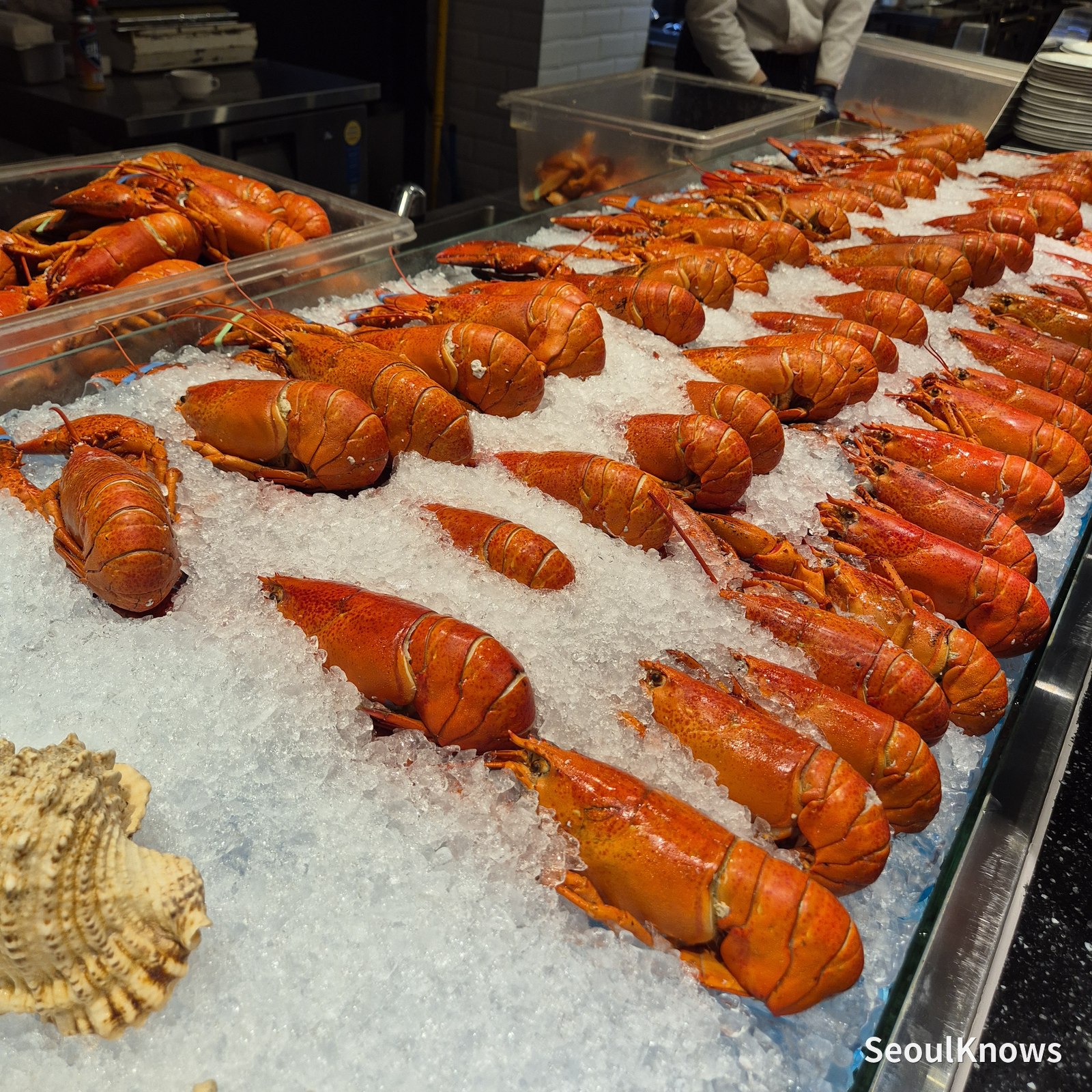 Best Seafood Buffet in Seoul? Viking’s Wharf COEX, Reviewed