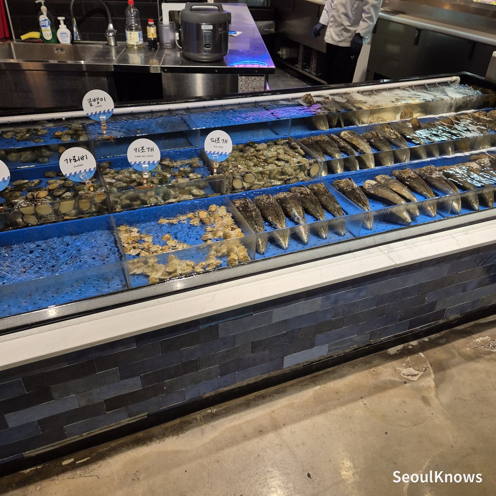 Raw shellfish display counter at Viking's Wharf COEX