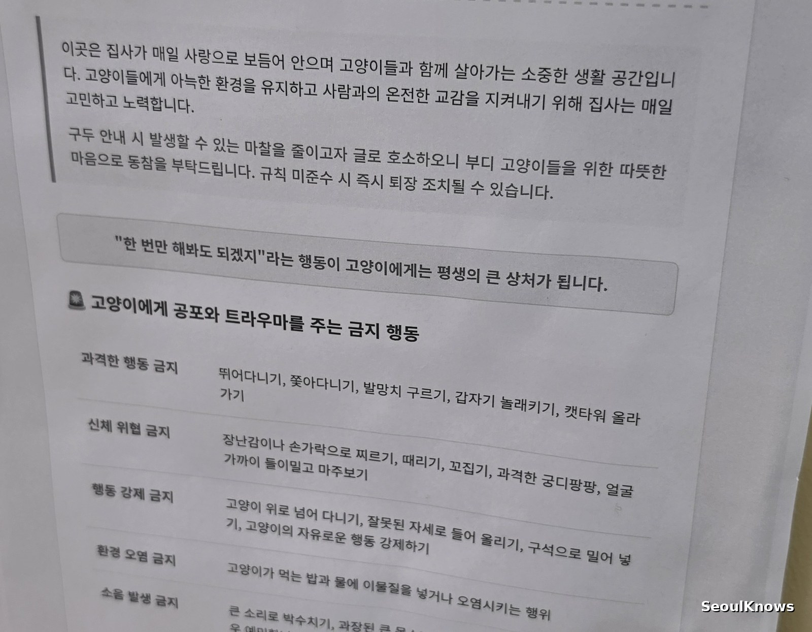 Wall notice listing cat cafe rules in Korean