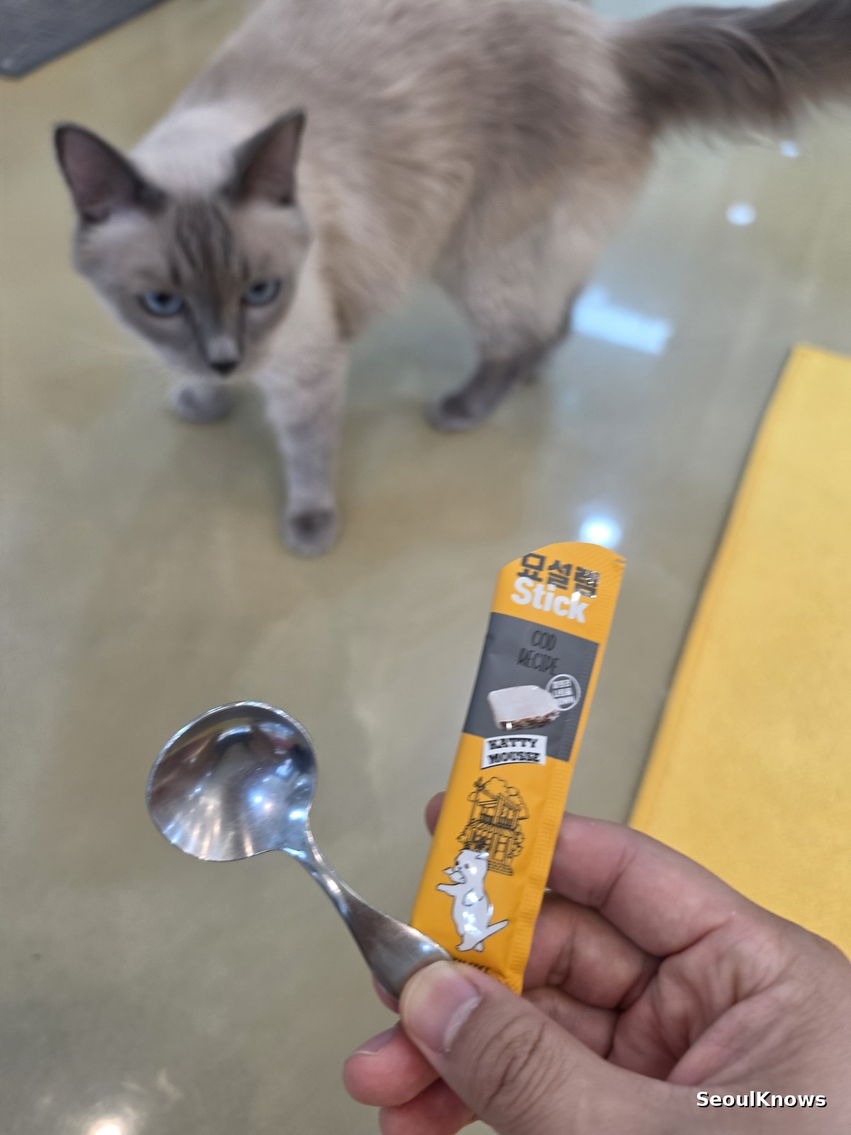 Cat treat tube and spoon bought at the counter of a Korean cat cafe