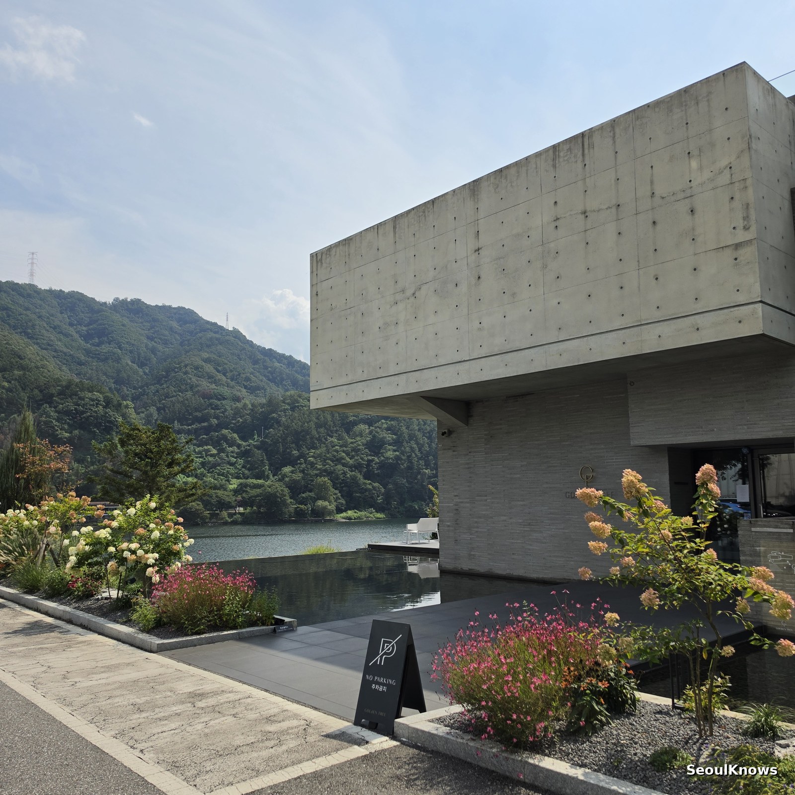 Golden Tree Gapyeong: The Riverside Cafe to Pair With Your Nami Island Day Trip