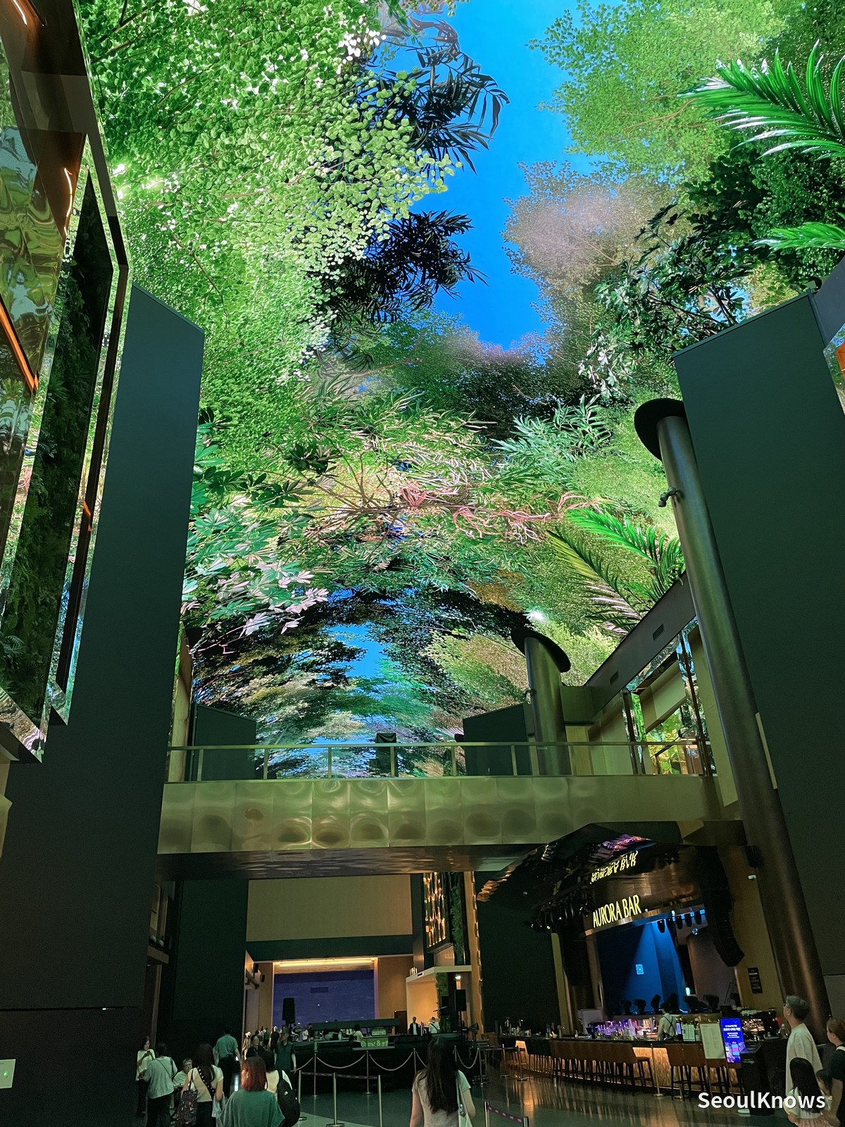 Forest canopy scene on the digital ceiling at Inspire Mall