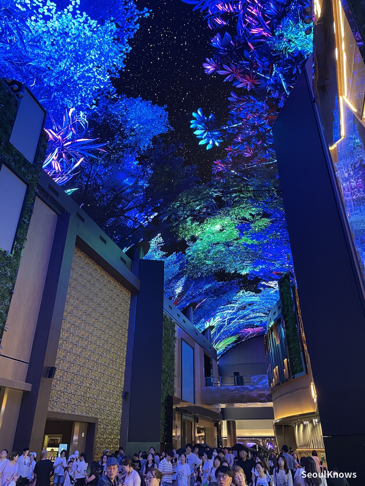 Coral reef scene on Inspire Mall digital ceiling