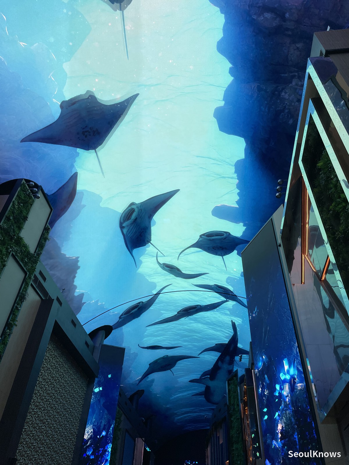 Manta rays on the digital ceiling at Inspire Mall