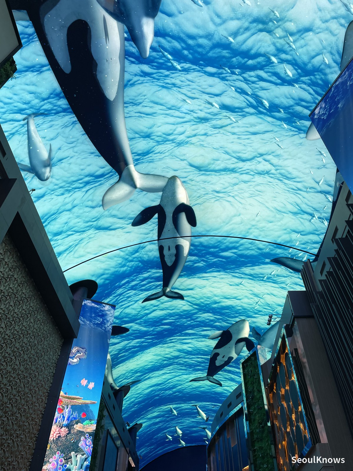Orcas on the digital ceiling at Inspire Mall